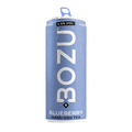 BOZU Hard Iced Tea Blueberry blikje van 250 ml